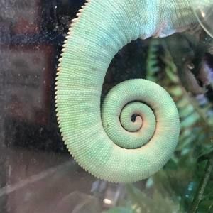 Meet your Posher, Stacey